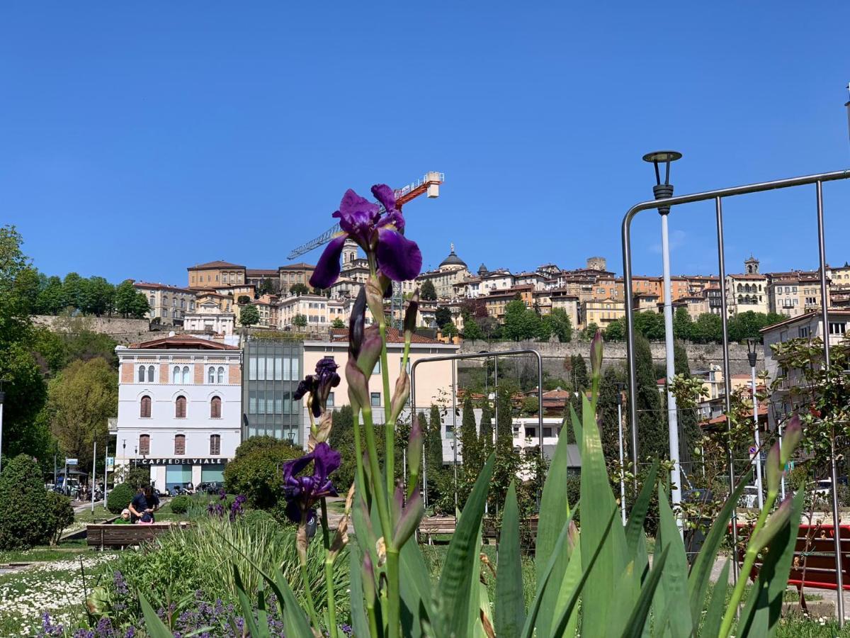 Houseberg Lägenhet Bergamo Exteriör bild